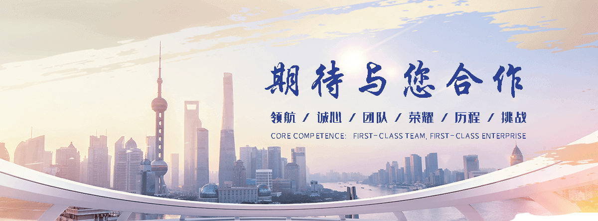 狐域标书(孝昌分公司)